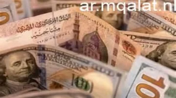 سعر الصرف المستقر.. تباين أسعار الدولار في البنوك المصرية خلال تعاملات الجمعة